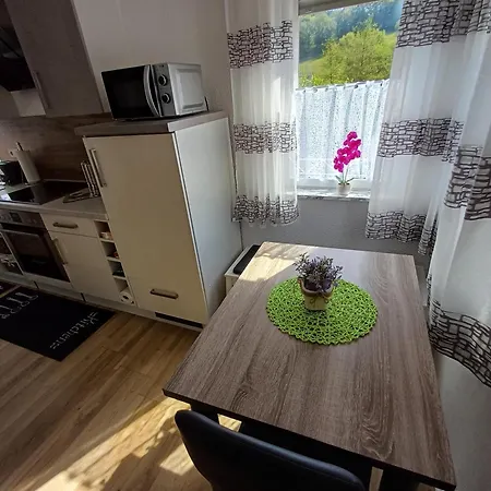 Zum Finkenbachtal Apartman Oberzent