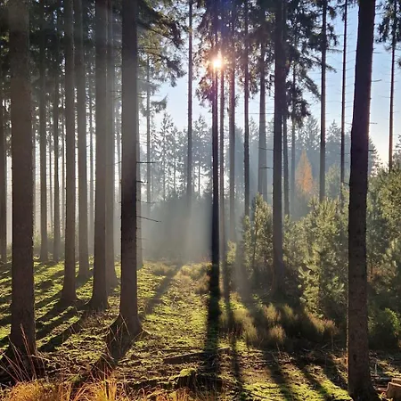 Zum Finkenbachtal * Oberzent