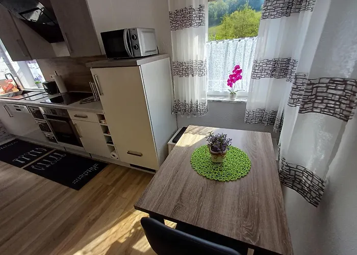 Zum Finkenbachtal Apartament Oberzent