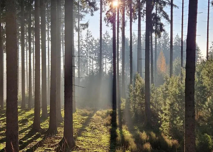 Zum Finkenbachtal * Oberzent